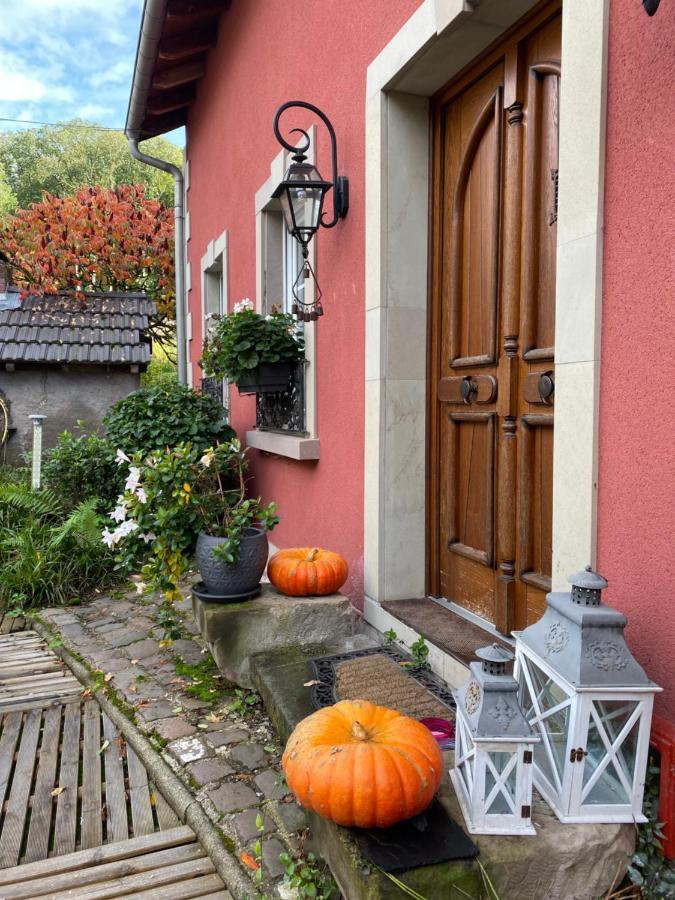 Logis Hotel Domaine Du Moulin Saint-Avold Zewnętrze zdjęcie